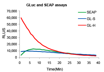 GLuc and SEAP assays