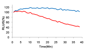 Signal stability of mGluc and wtGluc